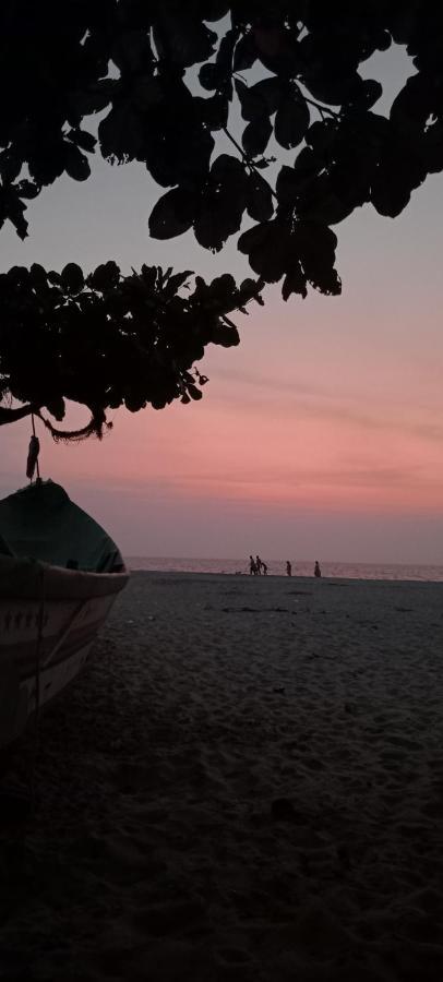 Beachcampers Only For Foreign Traveler'S Alappuzha Kültér fotó